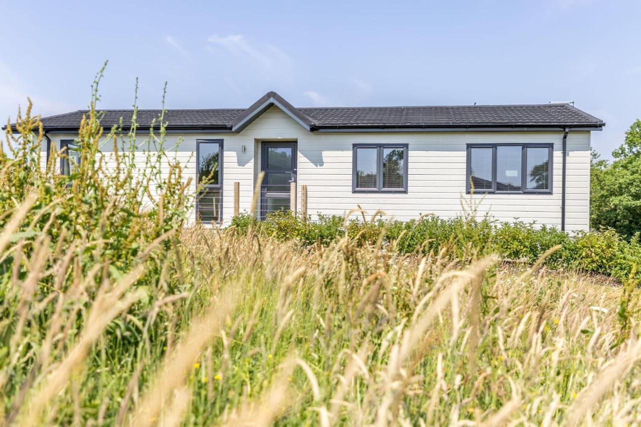 Rose Lodge, 21 Roadford Lake Lodges Lifton Dış mekan fotoğraf